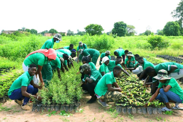 Concours CNFT 2025 : formation technicien en environnement, agriculture ou élevage. Inscriptions du 23 juin au 29 août 2025. Postule vite !