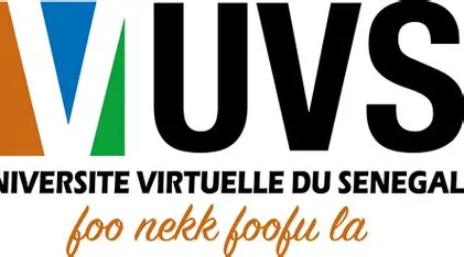 UVS Recrute Un Animateurs cours de vacances en ligne